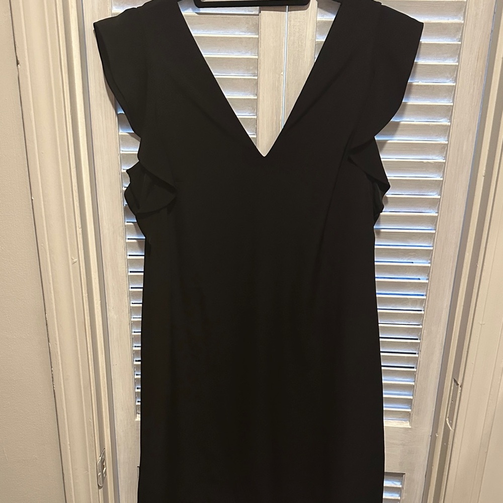 Express Black Ruffle Sleeve Mini Dress
